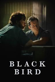 Black Bird (2022) stream deutsch