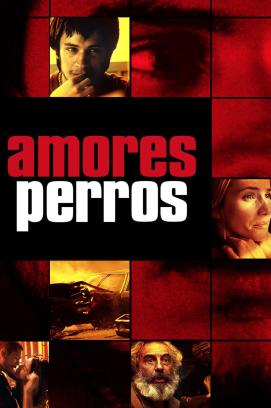 Amores perros (2000)