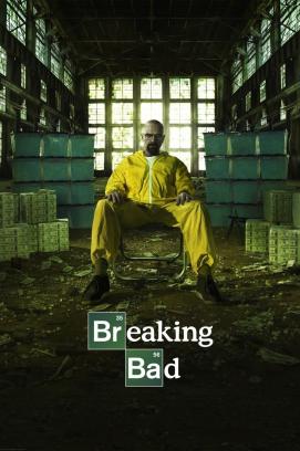 Breaking Bad - Staffel 1 (2008)