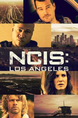 NCIS: Los Angeles - Staffel 14 (2009)